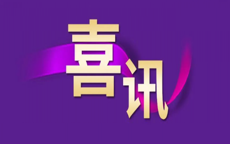 勁升16位！榮程集團(tuán)躍居中國(guó)企業(yè)500強(qiáng)第240位