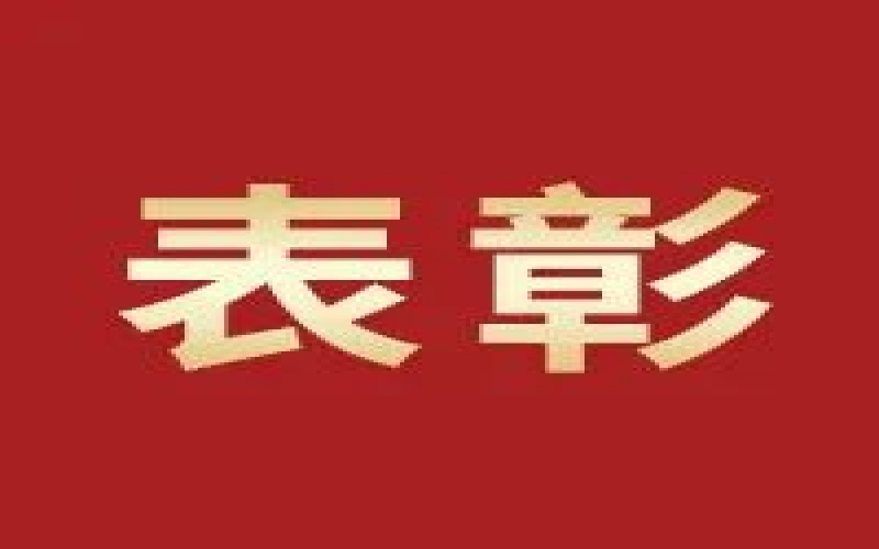 奮進2023，這些集體和個人無上“榮”光