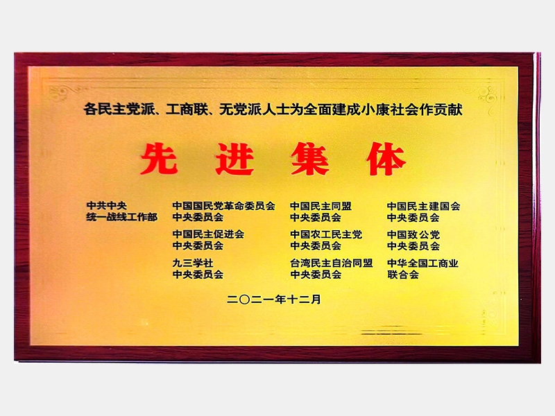 各民主黨派、工商聯(lián)、無黨派人士為全面建成小康社會作貢獻(xiàn)先進(jìn)集體