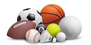 2026世界杯官網(wǎng) 木質(zhì)游樂(lè)設(shè)施提升兒童體能發(fā)展的秘訣。